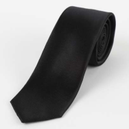 James Adelinis Microfibre Tie